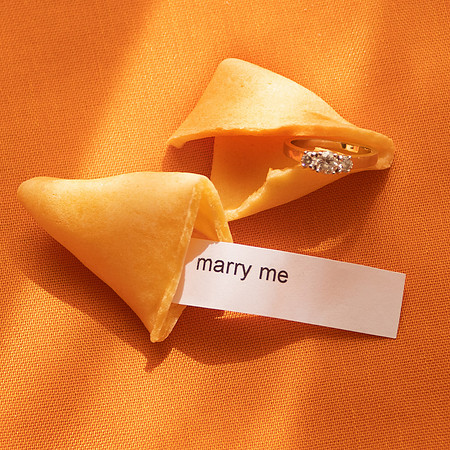 Fortune Cookie Proposal