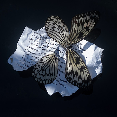 Broken Heart Still Life